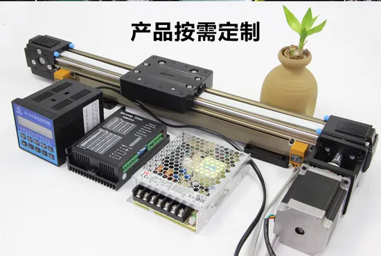 Ds45 Low Price Arrival 100 to 500mm Stroke High Speed Belt Driven Linear Guide Rail for Automation Equipment